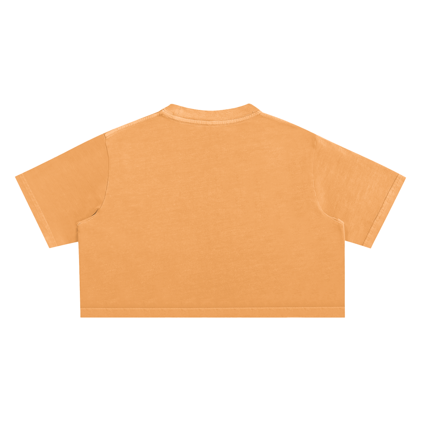 Richer Crop Top