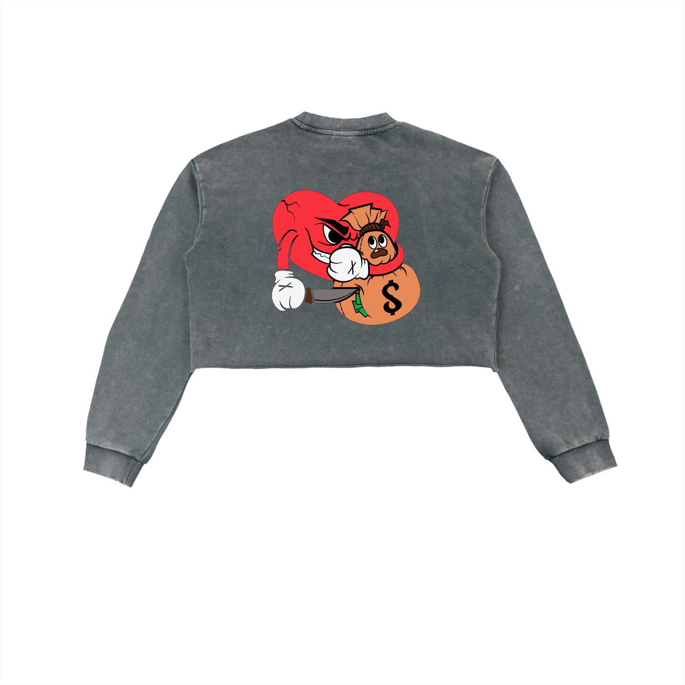 Snow Washed Raw Edge Cropped Sweatshirt