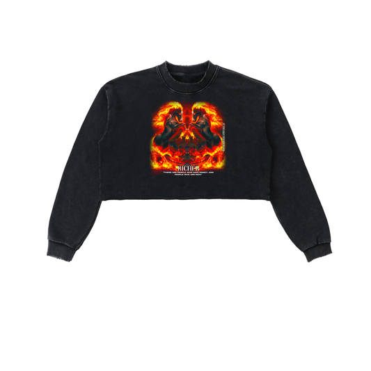 Snow Washed Raw Edge Cropped Sweatshirt
